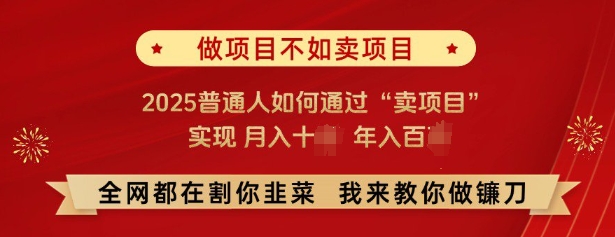 必看，做项目不如卖项目，2025普通人如何通过“卖项目”实现月入十个，年入百个-全网第一网赚项目资源库-中赚网 & 中创网 & 冒泡网 & 福缘网 - 小本轻创业与优质加盟项目首选平台