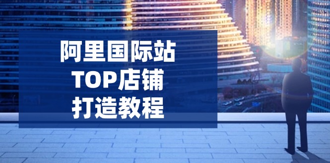 阿里国际站TOP店铺打造教程：涵盖平台到高阶，解决运营难题，提升询盘-全网第一网赚项目资源库-中赚网 & 中创网 & 冒泡网 & 福缘网 - 小本轻创业与优质加盟项目首选平台
