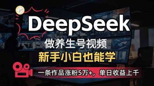小白用DeepSeek做养生号，一条作品涨粉5万+，单日收益上千-全网第一网赚项目资源库-中赚网 & 中创网 & 冒泡网 & 福缘网 - 小本轻创业与优质加盟项目首选平台