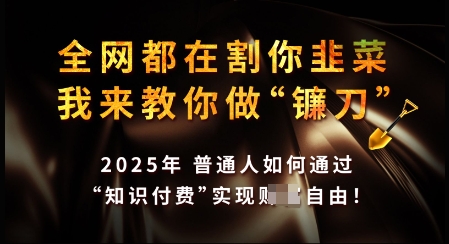 知识付费如何做到月入过W+，2025我来教你做“镰刀”【揭秘】-全网第一网赚项目资源库-中赚网 & 中创网 & 冒泡网 & 福缘网 - 小本轻创业与优质加盟项目首选平台