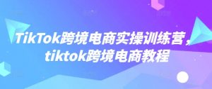 TikTok跨境电商实操训练营，tiktok跨境电商教程-全网第一网赚项目资源库-中赚网 & 中创网 & 冒泡网 & 福缘网 - 小本轻创业与优质加盟项目首选平台