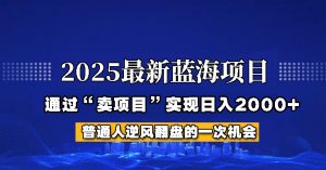 2025年蓝海项目，如何通过“网创项目”日入2000+-全网第一网赚项目资源库-中赚网 & 中创网 & 冒泡网 & 福缘网 - 小本轻创业与优质加盟项目首选平台