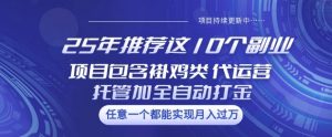 25年推荐这10个副业项目包含褂鸡类、代运营托管类、全自动打金类【揭秘】-全网第一网赚项目资源库-中赚网 & 中创网 & 冒泡网 & 福缘网 - 小本轻创业与优质加盟项目首选平台