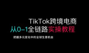 TikTok电商运营从基础到高阶全方位实操-全网第一网赚项目资源库-中赚网 & 中创网 & 冒泡网 & 福缘网 - 小本轻创业与优质加盟项目首选平台