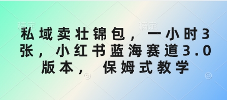 私域卖壮锦包，一小时3张，小红书蓝海赛道3.0版本， 保姆式教学-全网第一网赚项目资源库-中赚网 & 中创网 & 冒泡网 & 福缘网 - 小本轻创业与优质加盟项目首选平台