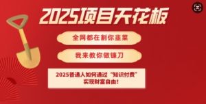 2025项目天花板普通人如何通过知识付费，实现财F自由【揭秘】-全网第一网赚项目资源库-中赚网 & 中创网 & 冒泡网 & 福缘网 - 小本轻创业与优质加盟项目首选平台