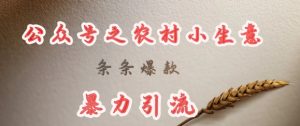 deepseek写农村小项目,条条爆款,暴力引流-全网第一网赚项目资源库-中赚网 & 中创网 & 冒泡网 & 福缘网 - 小本轻创业与优质加盟项目首选平台