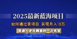 2025蓝海项目,普通人如何通过卖项目,实现月入过W,全过程【揭秘】-全网第一网赚项目资源库-中赚网 & 中创网 & 冒泡网 & 福缘网 - 小本轻创业与优质加盟项目首选平台