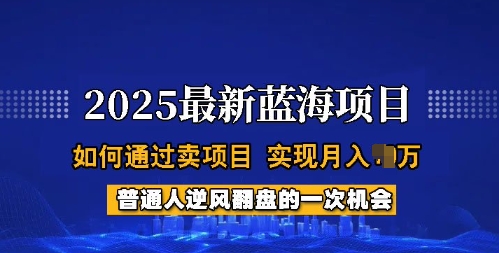 2025蓝海项目，普通人如何通过卖项目，实现月入过W，全过程【揭秘】-全网第一网赚项目资源库-中赚网 & 中创网 & 冒泡网 & 福缘网 - 小本轻创业与优质加盟项目首选平台
