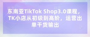 东南亚TikTok Shop3.0课程，TK小店​从初级到高阶，运营出单干货输出-全网第一网赚项目资源库-中赚网 & 中创网 & 冒泡网 & 福缘网 - 小本轻创业与优质加盟项目首选平台