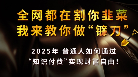 全网都在割你韭菜，我来教你做镰刀，2025普通人如何通过知识付费，实现财F自由【揭秘】-全网第一网赚项目资源库-中赚网 & 中创网 & 冒泡网 & 福缘网 - 小本轻创业与优质加盟项目首选平台