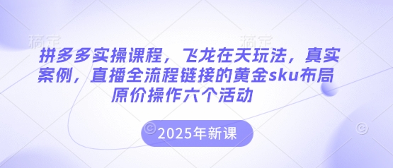 拼多多实操课程，飞龙在天玩法，真实案例，直播全流程链接的黄金sku布局原价操作六个活动-全网第一网赚项目资源库-中赚网 & 中创网 & 冒泡网 & 福缘网 - 小本轻创业与优质加盟项目首选平台