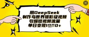 用DeepSeek制作鸟世界摄影级视频,引爆短视频流量,单日变现1k-全网第一网赚项目资源库-中赚网 & 中创网 & 冒泡网 & 福缘网 - 小本轻创业与优质加盟项目首选平台
