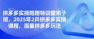 拼多多实操陪跑特训营弟子班,2025年2月拼多多实操课程,海量拼多多玩法-全网第一网赚项目资源库-中赚网 & 中创网 & 冒泡网 & 福缘网 - 小本轻创业与优质加盟项目首选平台