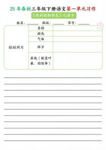 【习作】25年春新三下语文第一单元习作（观察单）16页-全网第一网赚项目资源库-中赚网 & 中创网 & 冒泡网 & 福缘网 - 小本轻创业与优质加盟项目首选平台