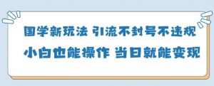 国学新玩法,引流不封号不违规小白也能操作,当日就能变现-全网第一网赚项目资源库-中赚网 & 中创网 & 冒泡网 & 福缘网 - 小本轻创业与优质加盟项目首选平台