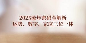 2025流年密码全解析,运势、数字、家庭三位一体-全网第一网赚项目资源库-中赚网 & 中创网 & 冒泡网 & 福缘网 - 小本轻创业与优质加盟项目首选平台