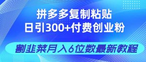 拼多多复制粘贴日引300+付费创业粉，割韭菜月入6位数最新教程！-全网第一网赚项目资源库-中赚网 & 中创网 & 冒泡网 & 福缘网 - 小本轻创业与优质加盟项目首选平台