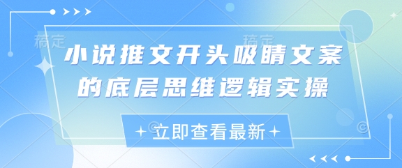 小说推文开头吸睛文案的底层思维逻辑实操-全网第一网赚项目资源库-中赚网 & 中创网 & 冒泡网 & 福缘网 - 小本轻创业与优质加盟项目首选平台