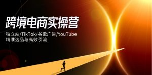 跨境电商实操营:独立站/TikTok/谷歌广告/YouTube,精准选品与高效引流-全网第一网赚项目资源库-中赚网 & 中创网 & 冒泡网 & 福缘网 - 小本轻创业与优质加盟项目首选平台