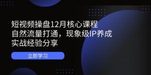 短视频操盘12月核心课程:自然流量打通,现象级IP养成,实战经验分享-全网第一网赚项目资源库-中赚网 & 中创网 & 冒泡网 & 福缘网 - 小本轻创业与优质加盟项目首选平台
