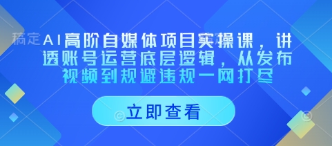AI高阶自媒体项目实操课，讲透账号运营底层逻辑，从发布视频到规避违规一网打尽-全网第一网赚项目资源库-中赚网 & 中创网 & 冒泡网 & 福缘网 - 小本轻创业与优质加盟项目首选平台