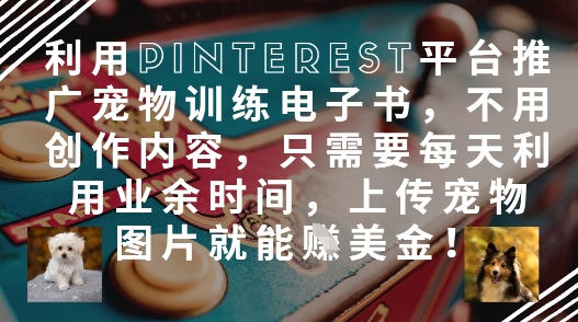 利用Pinterest平台推广宠物训练电子书，不用创作内容，只需要每天利用业余时间，上传宠物图片就能挣美金!-全网第一网赚项目资源库-中赚网 & 中创网 & 冒泡网 & 福缘网 - 小本轻创业与优质加盟项目首选平台