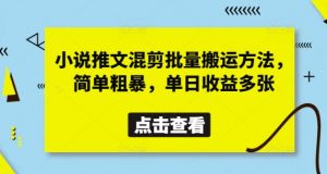 小说推文混剪批量搬运方法，简单粗暴，单日收益多张-全网第一网赚项目资源库-中赚网 & 中创网 & 冒泡网 & 福缘网 - 小本轻创业与优质加盟项目首选平台
