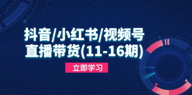 抖音/小红书/视频号/直播带货(11-16期-全网第一网赚项目资源库-中赚网 & 中创网 & 冒泡网 & 福缘网 - 小本轻创业与优质加盟项目首选平台