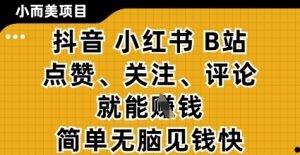 小而美的项目，抖音小红书B站视频点赞、关注、评论就能挣钱，简单无脑立见收益，妥妥的零撸项目【揭秘】-全网第一网赚项目资源库-中赚网 & 中创网 & 冒泡网 & 福缘网 - 小本轻创业与优质加盟项目首选平台