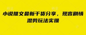 小说推文最新干货分享，现言剧情混剪玩法实操-全网第一网赚项目资源库-中赚网 & 中创网 & 冒泡网 & 福缘网 - 小本轻创业与优质加盟项目首选平台