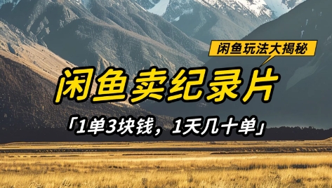 闲鱼卖纪录片1单3块钱，1天几十单，项目稳定有潜力-全网第一网赚项目资源库-中赚网 & 中创网 & 冒泡网 & 福缘网 - 小本轻创业与优质加盟项目首选平台