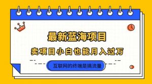 2025年最新蓝海项目,卖项目小白也能月入过万-全网第一网赚项目资源库-中赚网 & 中创网 & 冒泡网 & 福缘网 - 小本轻创业与优质加盟项目首选平台