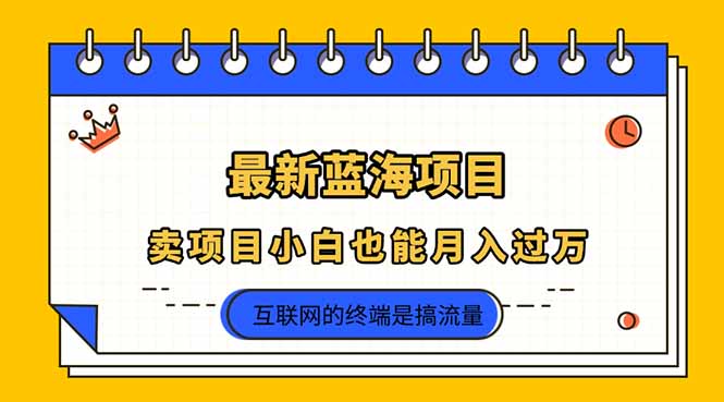 2025年最新蓝海项目，卖项目小白也能月入过万-全网第一网赚项目资源库-中赚网 & 中创网 & 冒泡网 & 福缘网 - 小本轻创业与优质加盟项目首选平台