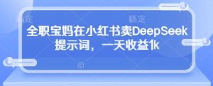 全职宝妈在小红书卖DeepSeek提示词,一天收益1k-全网第一网赚项目资源库-中赚网 & 中创网 & 冒泡网 & 福缘网 - 小本轻创业与优质加盟项目首选平台