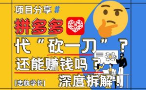 【2025最新】拼多多代坎助力项目深度拆解:还能挣钱吗?全流程玩法-全网第一网赚项目资源库-中赚网 & 中创网 & 冒泡网 & 福缘网 - 小本轻创业与优质加盟项目首选平台