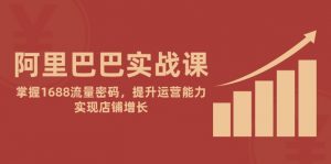 阿里巴巴实战课:掌握1688流量密码,提升运营能力,实现店铺增长-全网第一网赚项目资源库-中赚网 & 中创网 & 冒泡网 & 福缘网 - 小本轻创业与优质加盟项目首选平台
