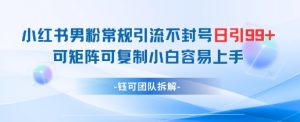 小红书男粉常规引流不封号日引99+变现简单 可矩阵可复制小白容易上手-全网第一网赚项目资源库-中赚网 & 中创网 & 冒泡网 & 福缘网 - 小本轻创业与优质加盟项目首选平台
