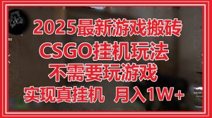 2025最新游戏搬砖,CSGO挂机,不需要玩游戏,实现真挂机,月入1W+-全网第一网赚项目资源库-中赚网 & 中创网 & 冒泡网 & 福缘网 - 小本轻创业与优质加盟项目首选平台