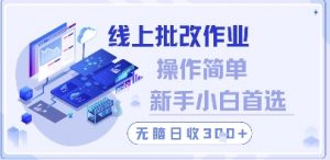 线上批改作业，操作简单新手小白首选，无脑日收300+【揭秘】-全网第一网赚项目资源库-中赚网 & 中创网 & 冒泡网 & 福缘网 - 小本轻创业与优质加盟项目首选平台