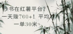 抄书在小红薯平台?平均一单30米,一天收益几张!-全网第一网赚项目资源库-中赚网 & 中创网 & 冒泡网 & 福缘网 - 小本轻创业与优质加盟项目首选平台