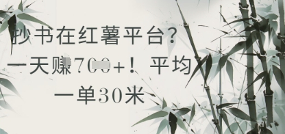 抄书在小红薯平台？平均一单30米，一天收益几张！-全网第一网赚项目资源库-中赚网 & 中创网 & 冒泡网 & 福缘网 - 小本轻创业与优质加盟项目首选平台