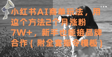 小红书AI商单玩法，用这个方法2个月涨粉7W+，新手也能接品牌合作(附全套指令模板)-全网第一网赚项目资源库-中赚网 & 中创网 & 冒泡网 & 福缘网 - 小本轻创业与优质加盟项目首选平台