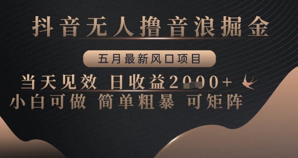 抖音无人撸音浪掘金，五月最新风口项目，当天见效，日收益多张，小白可做简单粗暴可矩阵【揭秘】-全网第一网赚项目资源库-中赚网 & 中创网 & 冒泡网 & 福缘网 - 小本轻创业与优质加盟项目首选平台