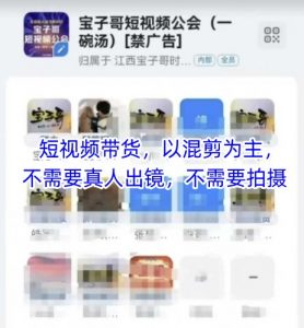 宝子哥头部团队短视频带货,以混剪为主,不需要真人出镜,不需要拍摄-全网第一网赚项目资源库-中赚网 & 中创网 & 冒泡网 & 福缘网 - 小本轻创业与优质加盟项目首选平台