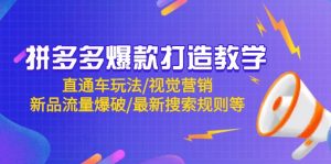 拼多多爆款打造教学:直通车玩法/视觉营销/新品流量爆破/最新搜索规则等-全网第一网赚项目资源库-中赚网 & 中创网 & 冒泡网 & 福缘网 - 小本轻创业与优质加盟项目首选平台