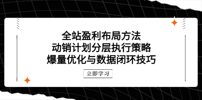 全站盈利布局方法：动销计划分层执行策略，爆量优化与数据闭环技巧-全网第一网赚项目资源库-中赚网 & 中创网 & 冒泡网 & 福缘网 - 小本轻创业与优质加盟项目首选平台