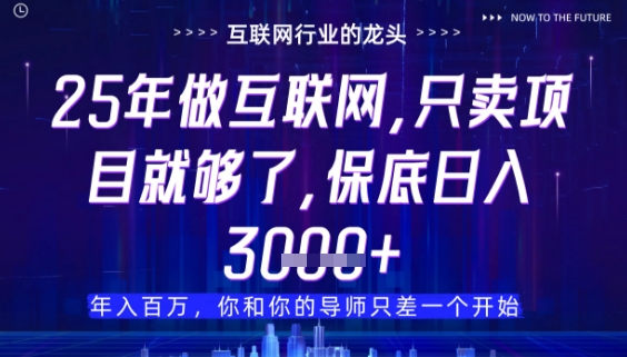 什么！25年你还在找项目做？风口早就变了，卖项目才是稳挣不赔【揭秘】-全网第一网赚项目资源库-中赚网 & 中创网 & 冒泡网 & 福缘网 - 小本轻创业与优质加盟项目首选平台