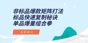 非标品爆款矩阵打法,标品快速复制秘诀,单品爆量组合拳-全网第一网赚项目资源库-中赚网 & 中创网 & 冒泡网 & 福缘网 - 小本轻创业与优质加盟项目首选平台