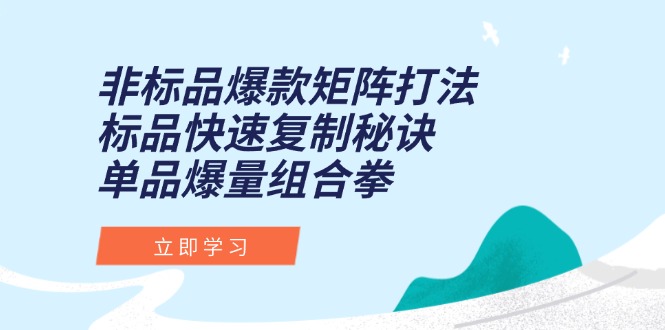 非标品爆款矩阵打法，标品快速复制秘诀，单品爆量组合拳-全网第一网赚项目资源库-中赚网 & 中创网 & 冒泡网 & 福缘网 - 小本轻创业与优质加盟项目首选平台